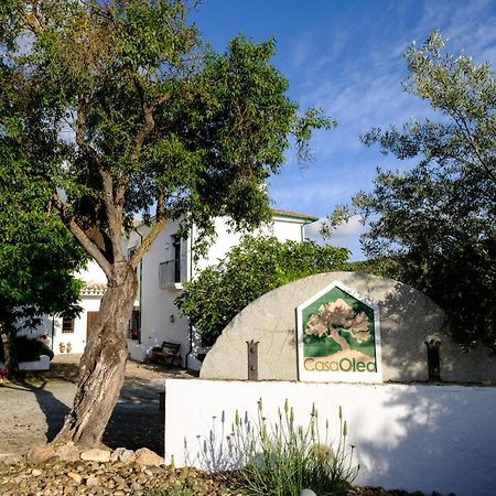 Casa Olea Bed & Breakfast Priego de Córdoba Eksteriør bilde