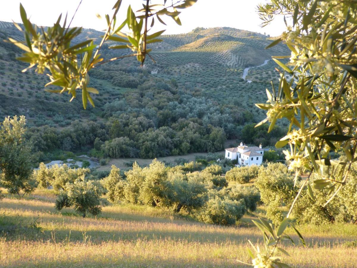 Casa Olea Bed & Breakfast Priego de Córdoba Eksteriør bilde