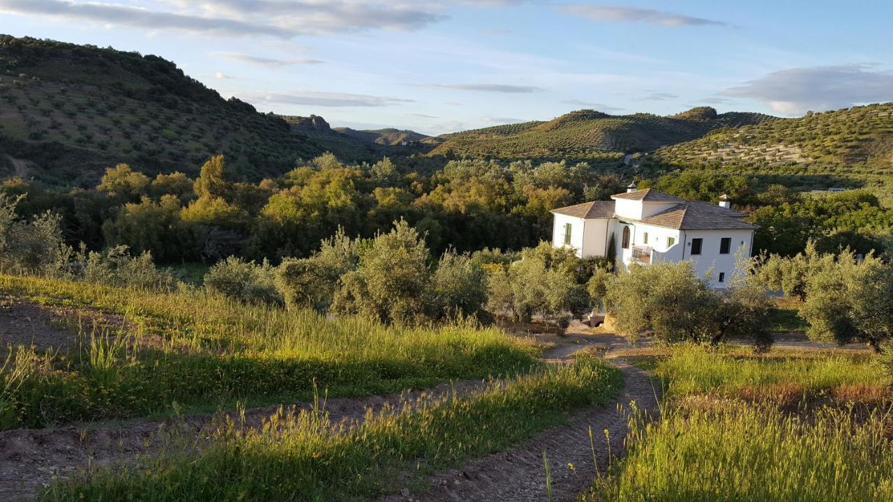 Casa Olea Bed & Breakfast Priego de Córdoba Eksteriør bilde