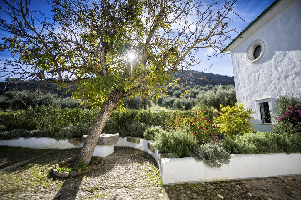 Casa Olea Bed & Breakfast Priego de Córdoba Eksteriør bilde
